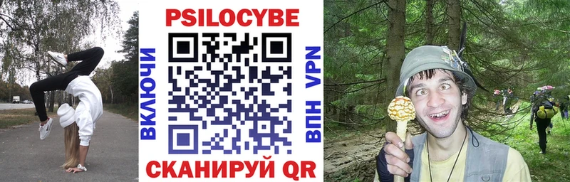 OMG зеркало  Грязовец  Галлюциногенные грибы мухоморы 