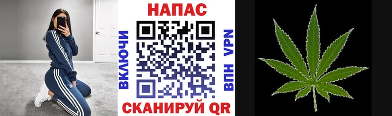 Бошки марихуана индика Грязовец
